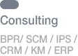Cunsulting BPR/SCM/IPS/CRM/KM/EPR